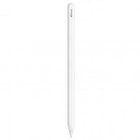 Apple Pencil 2018 (2e génération) - Reconditionné