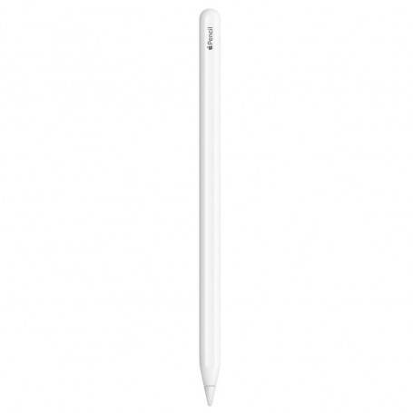 Apple Pencil 2018 (2e génération) - Reconditionné